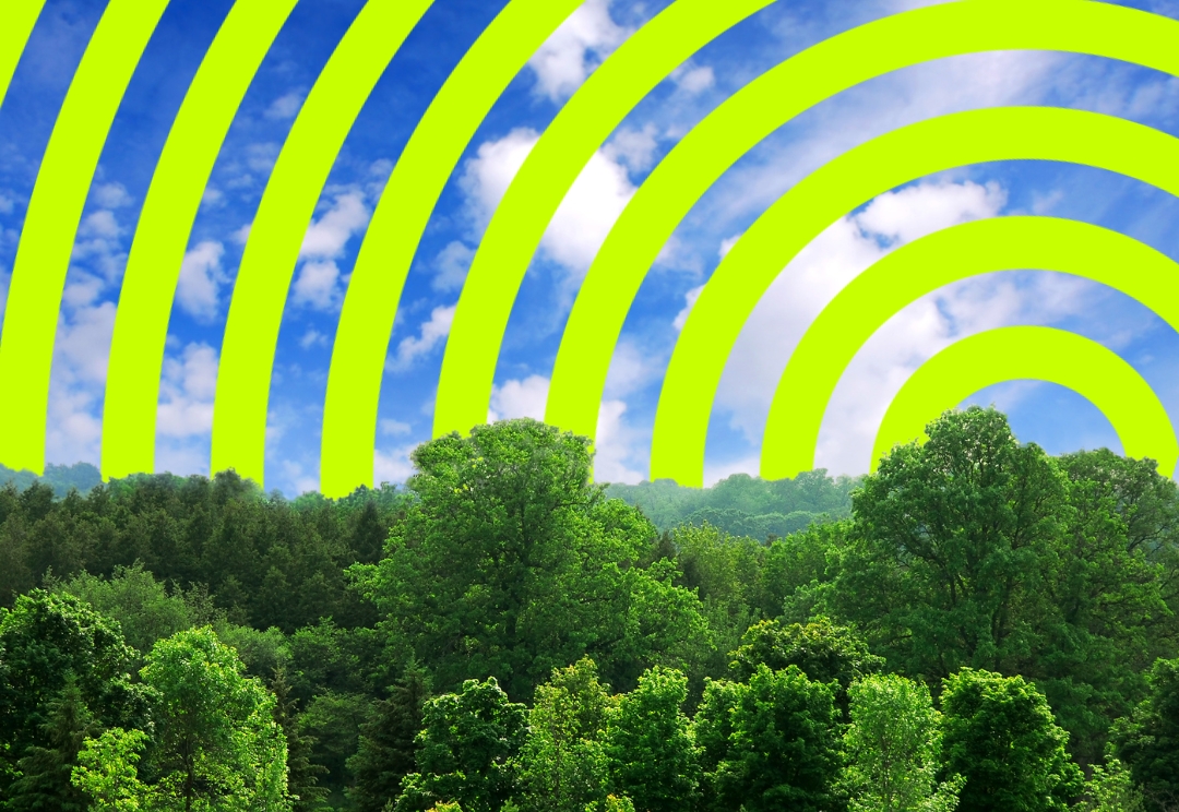 Dia Mundial del Medio Ambiente Eccologistics GLEC